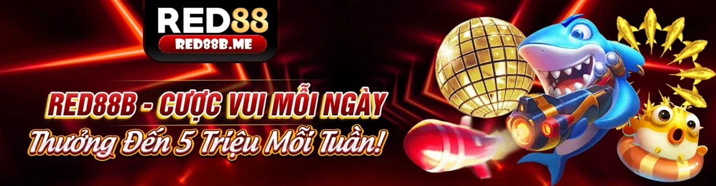 Bảo vệ dữ liệu người dùng TK888